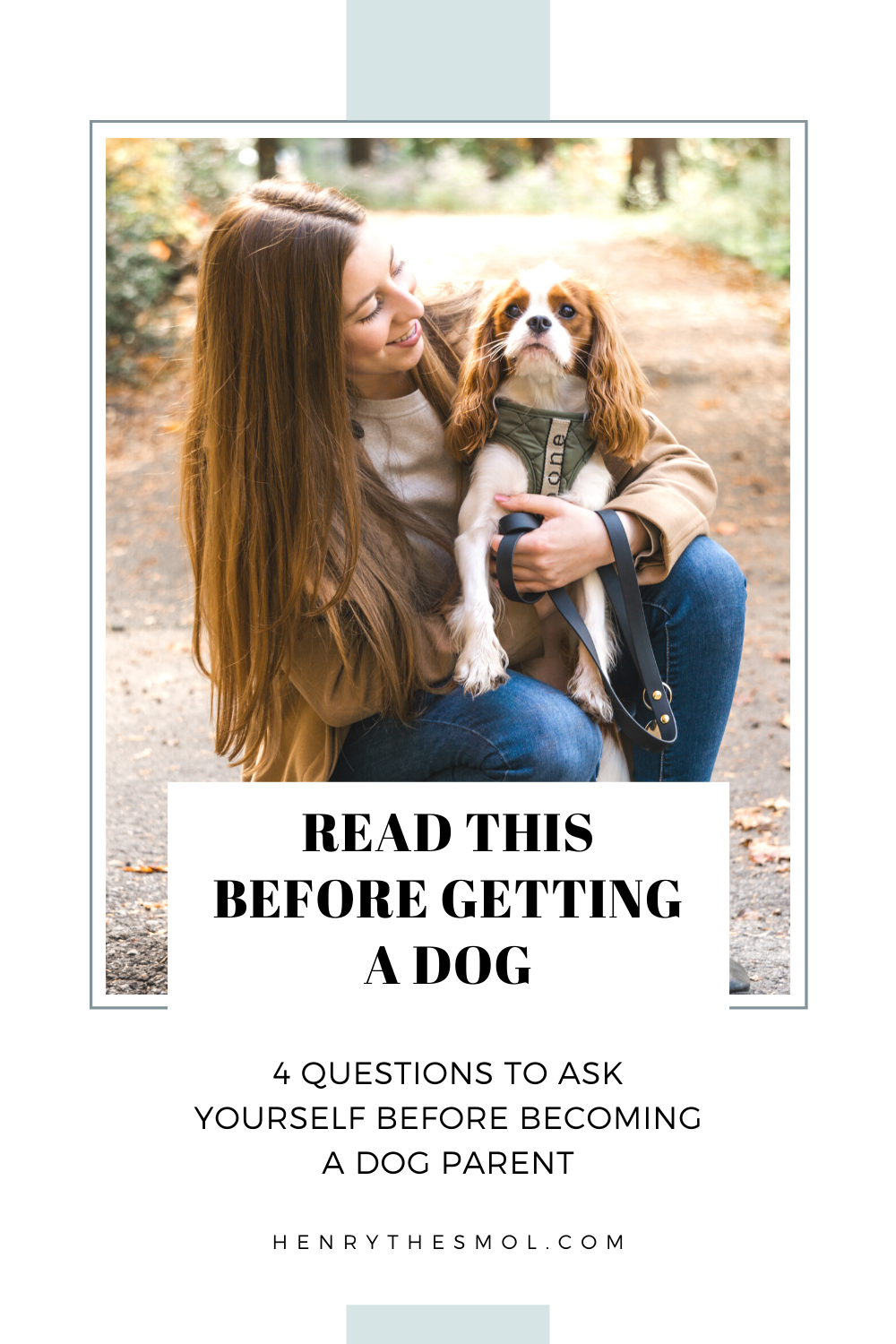 4 Signs You\'re Ready to Become a Dog Parent