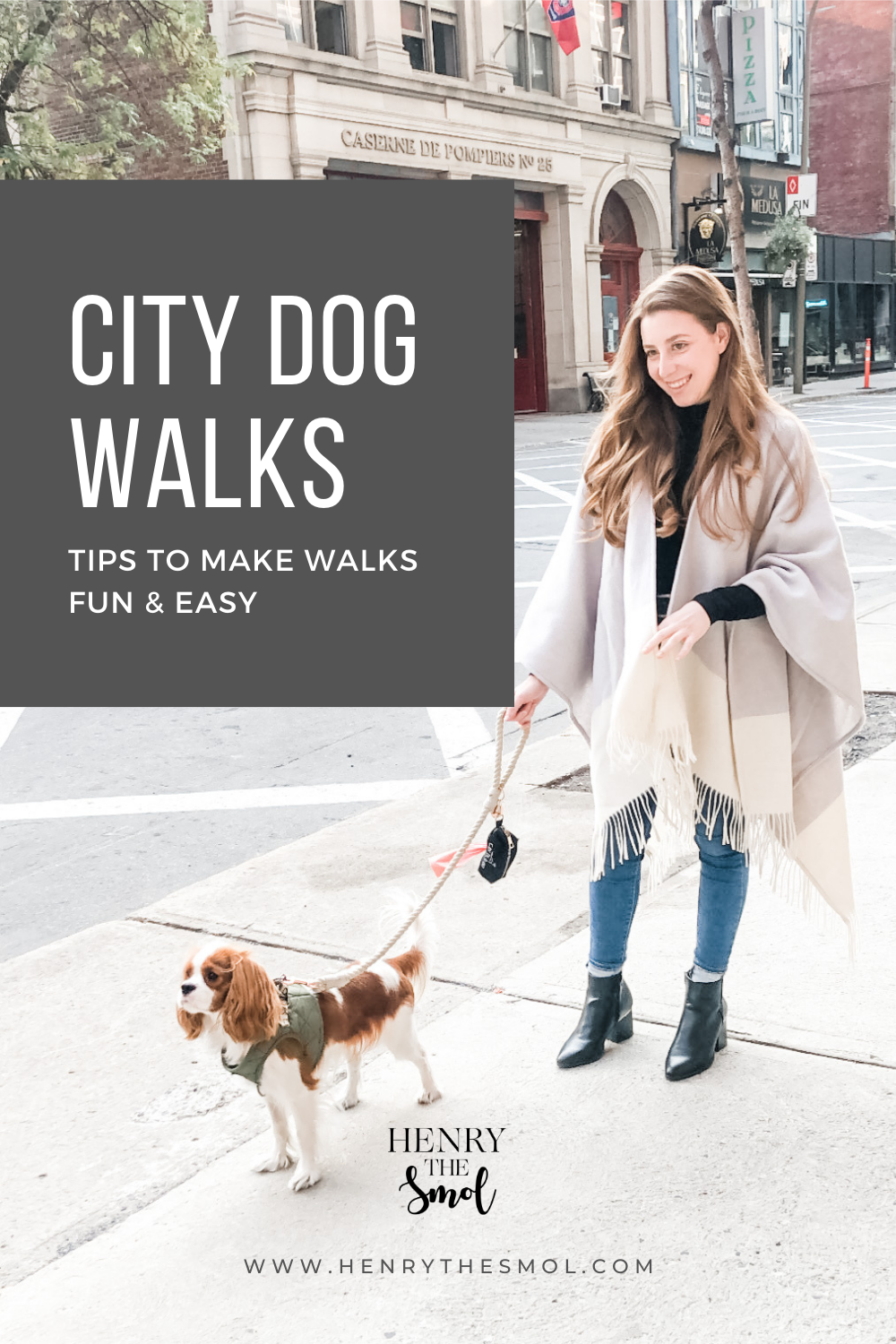 City Dog Walks