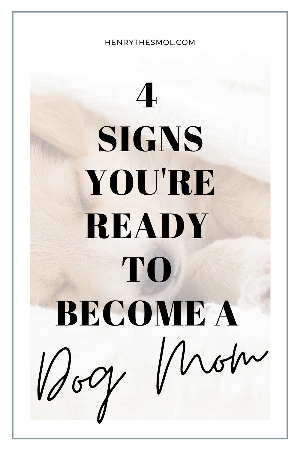 4 Signs You\'re Ready to Become a Dog Parent