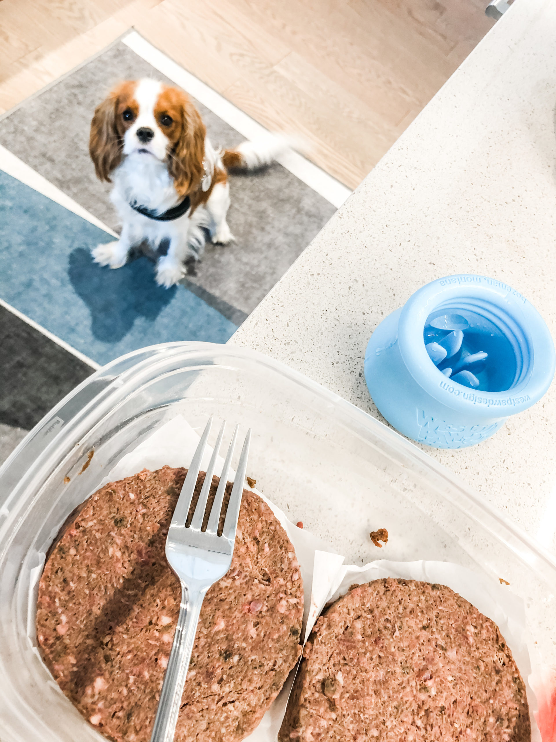 Raw Dog Food Diet