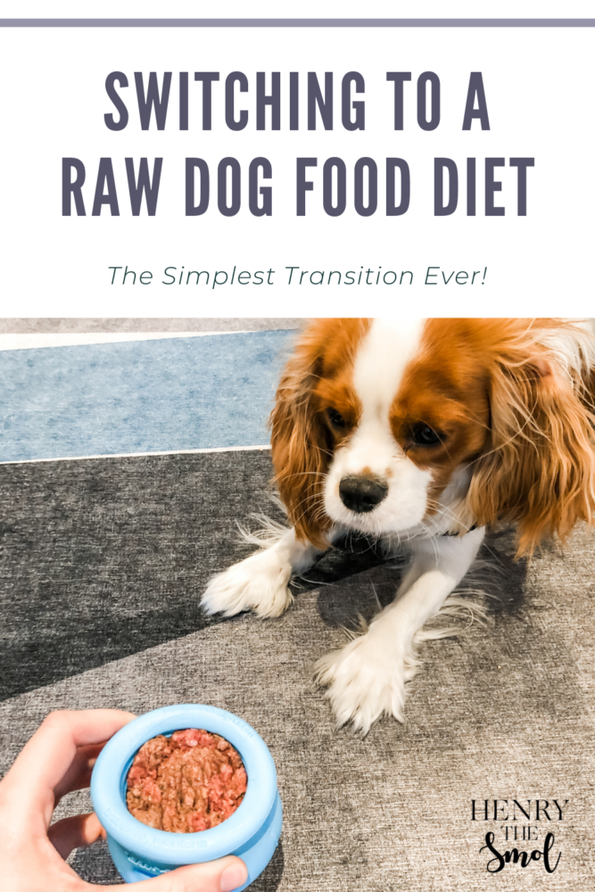 Transitioning to a Raw Dog Food Diet
