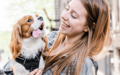 5 City Dog Walk Essentials