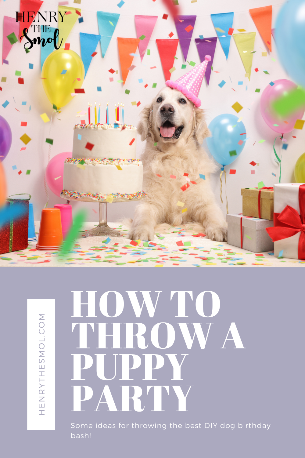 How to Throw a Birthday Party For Your Dog