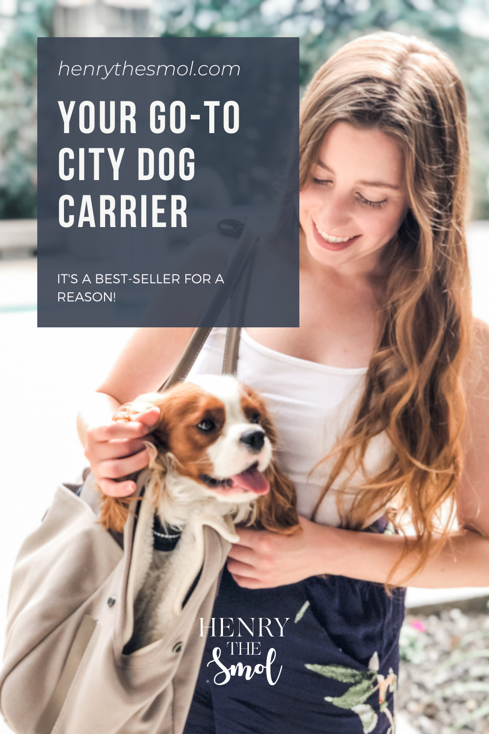 The Maxbone City Carrier For On-The-Go Dog Moms