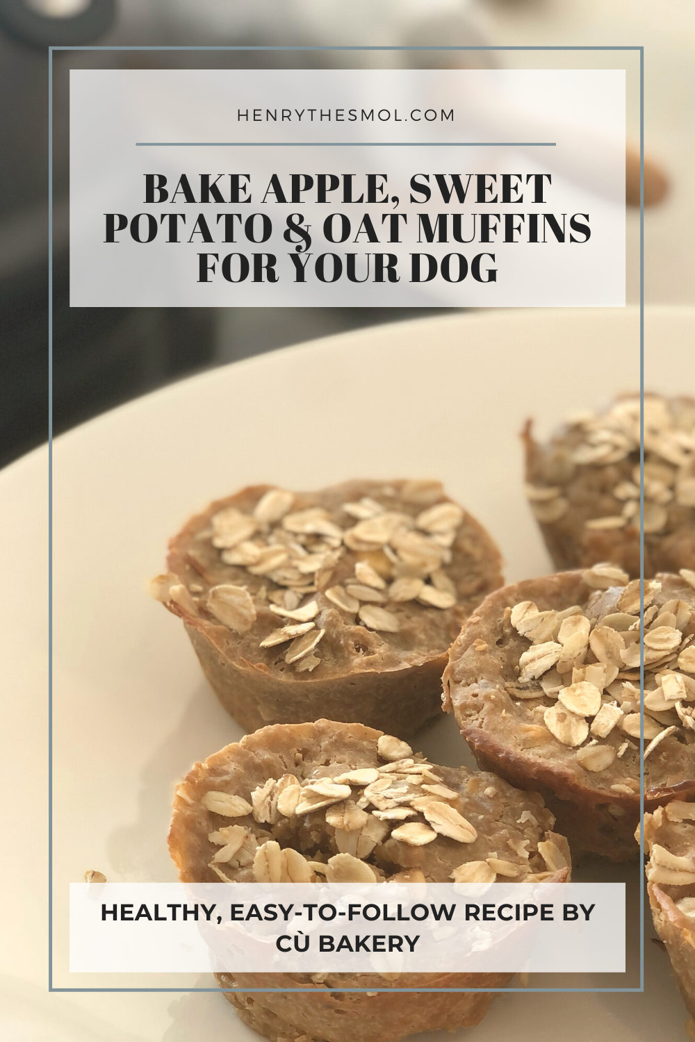 Baking for Your Dog with Cú Bakery
