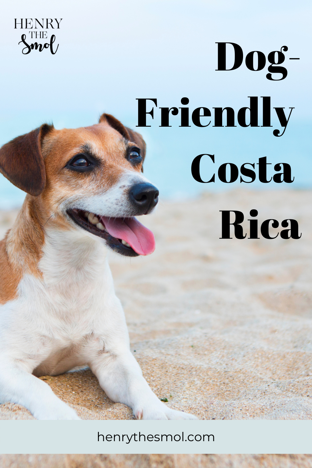 Dog Mom Talk: Dog-Friendly Costa Rica with Ana
