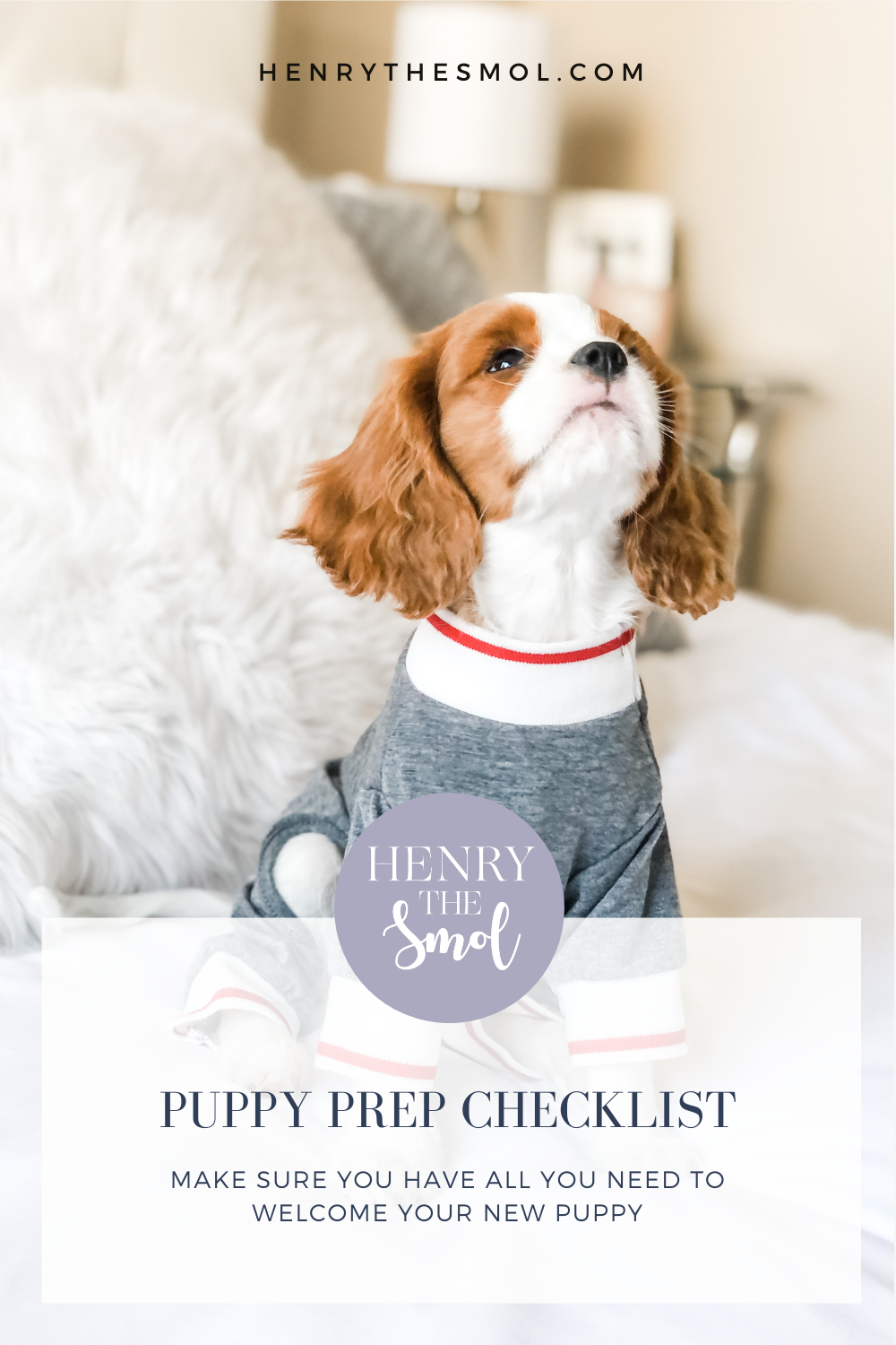 Preparing for Puppy Your Furbaby! Henry The Smol