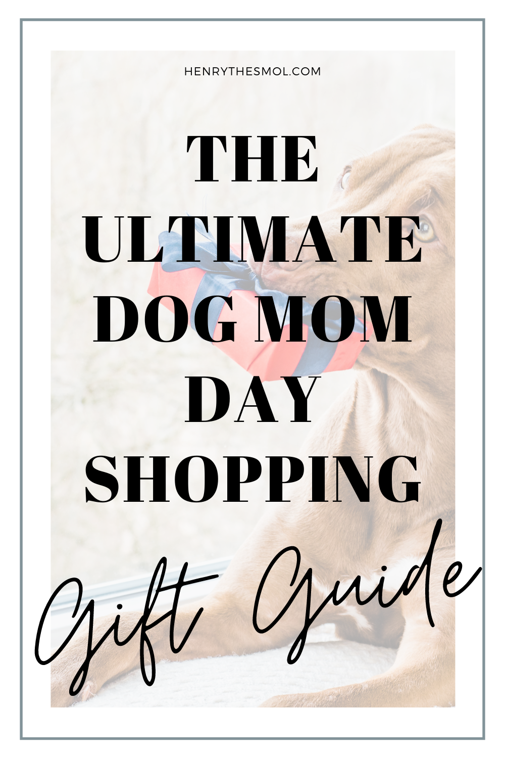 Gift Guide: Must-Haves For Any Dog Lover