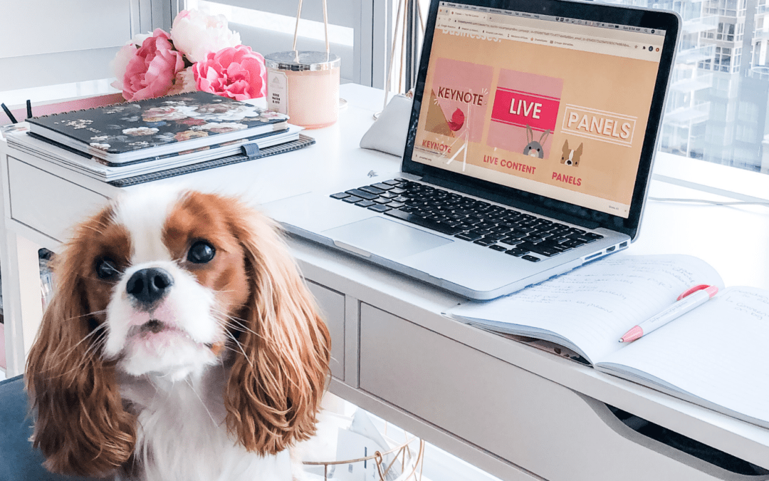 The Pet Summit: Our Virtual Pet Conference Experience