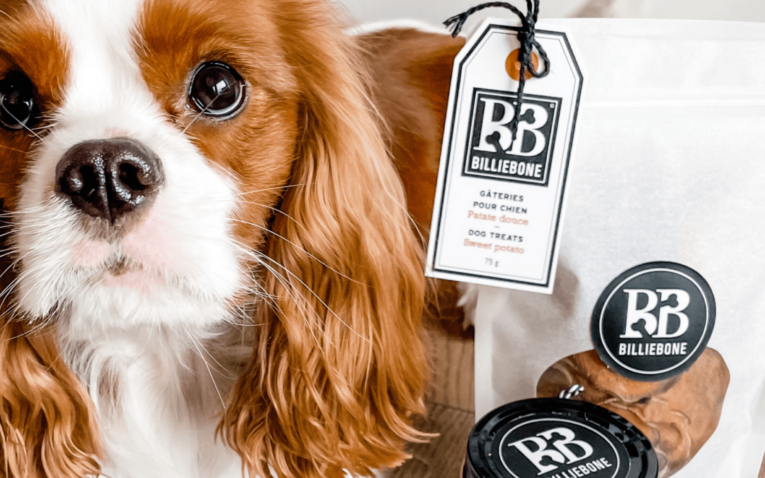Billiebone Healthy & Organic Dog Treats