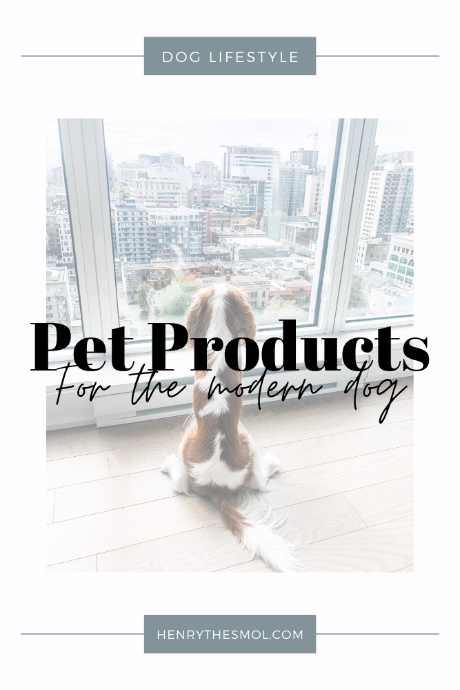 Great First Pet Products for Your New Dog!