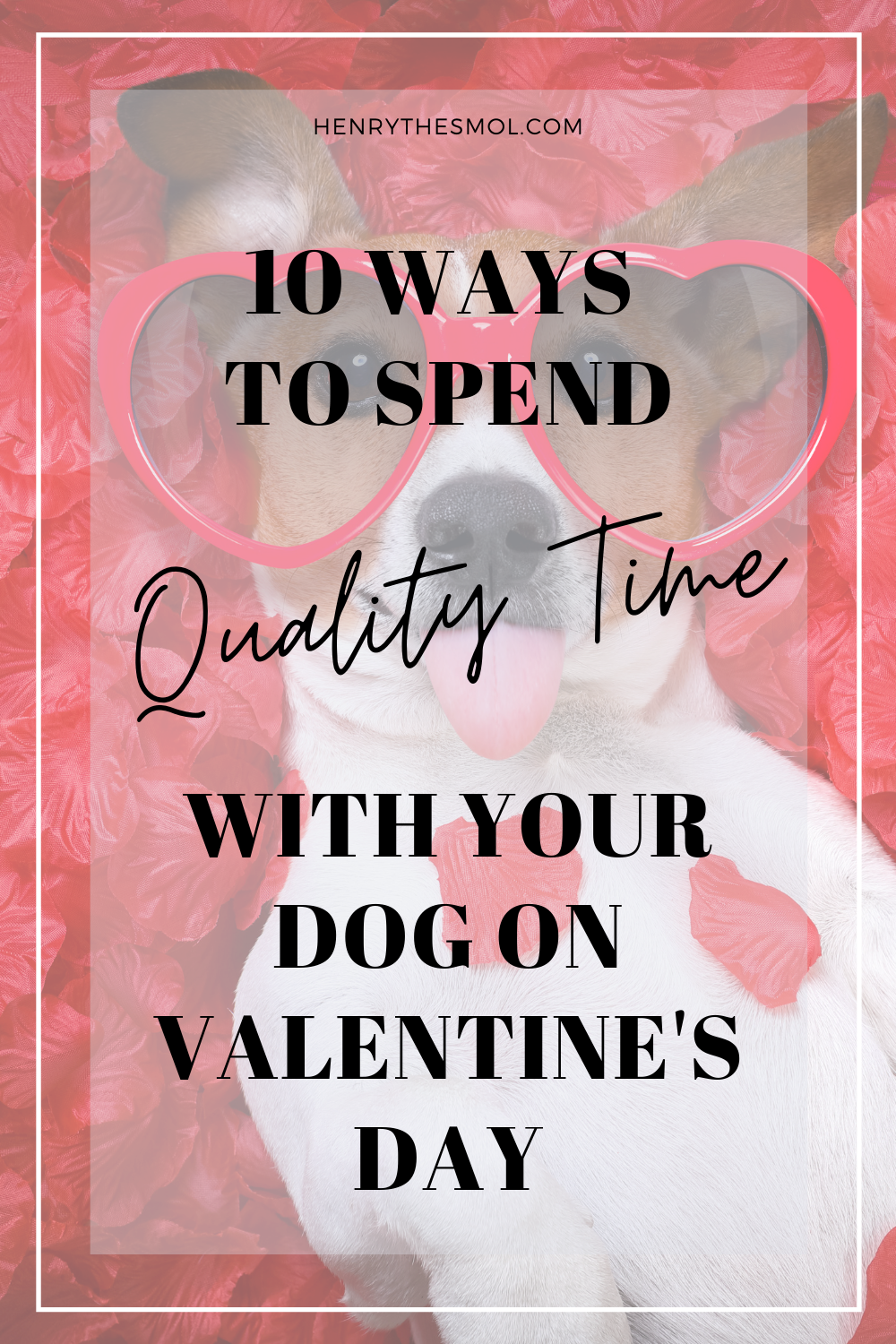 10 Ways To Spend Quality Time With Your Dog