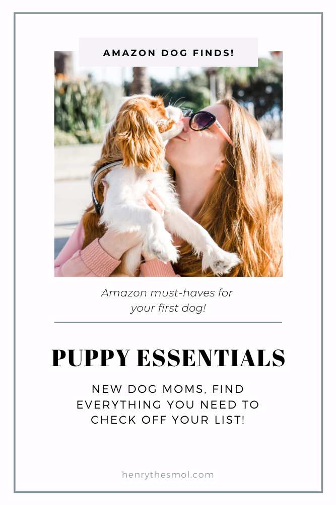 Preparing for Puppy: What You Need To Welcome A Dog