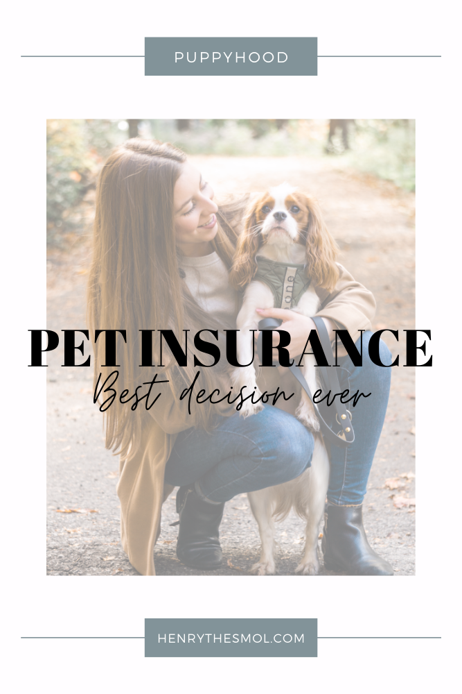 Pet Insurance: BEST Decision Ever!