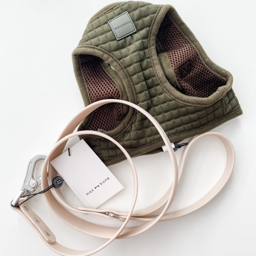 The Best Dog Brands for Stylish Dog Moms Henry The Smol