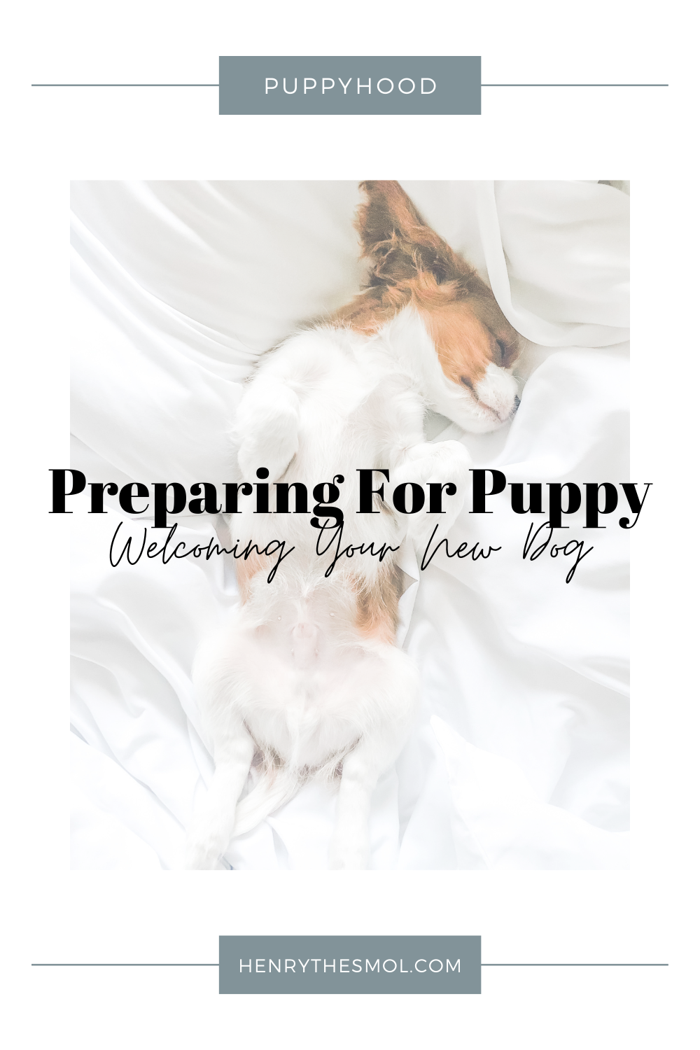 Preparing For Puppy