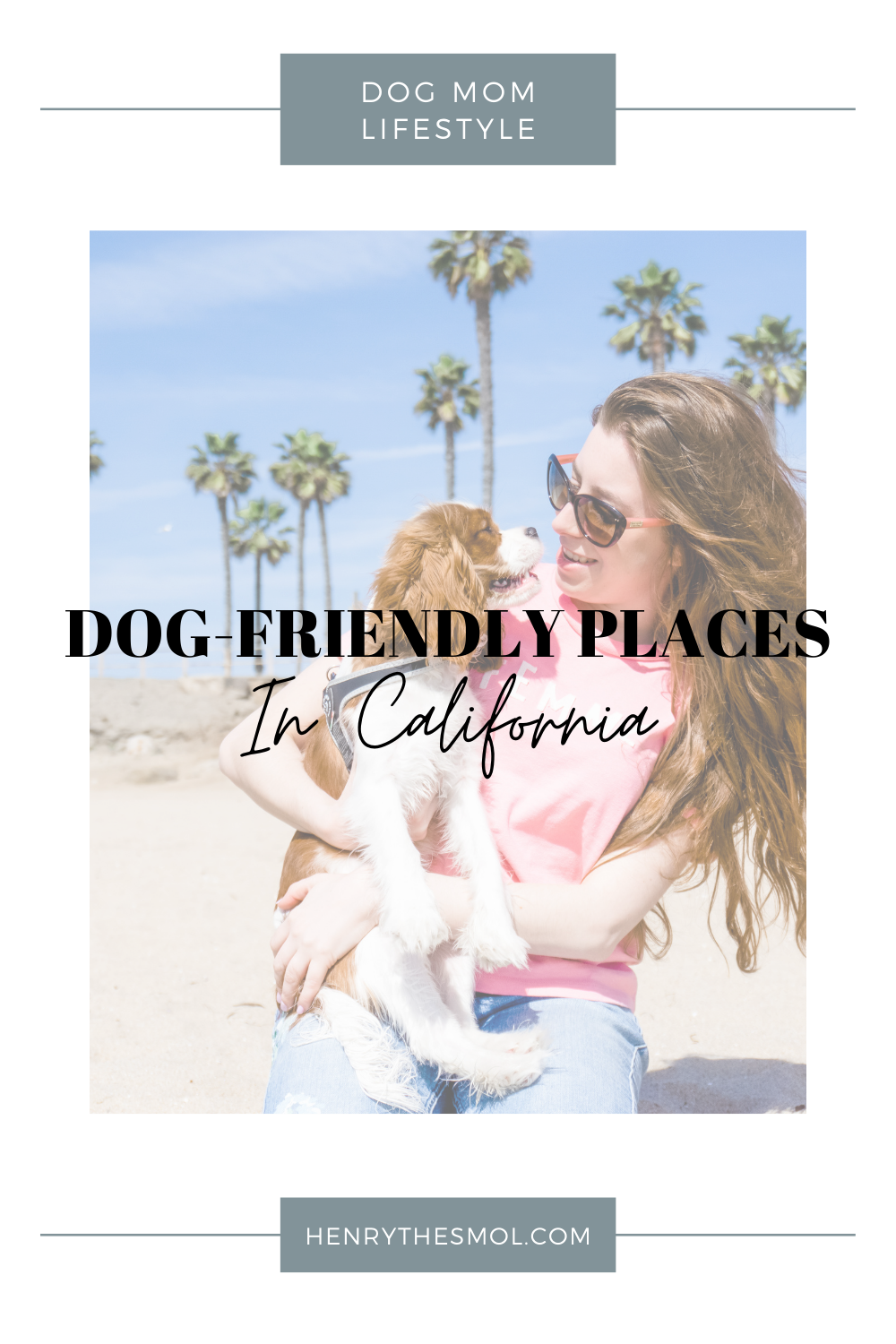Dog-Friendly California: Orange County & Los Angeles