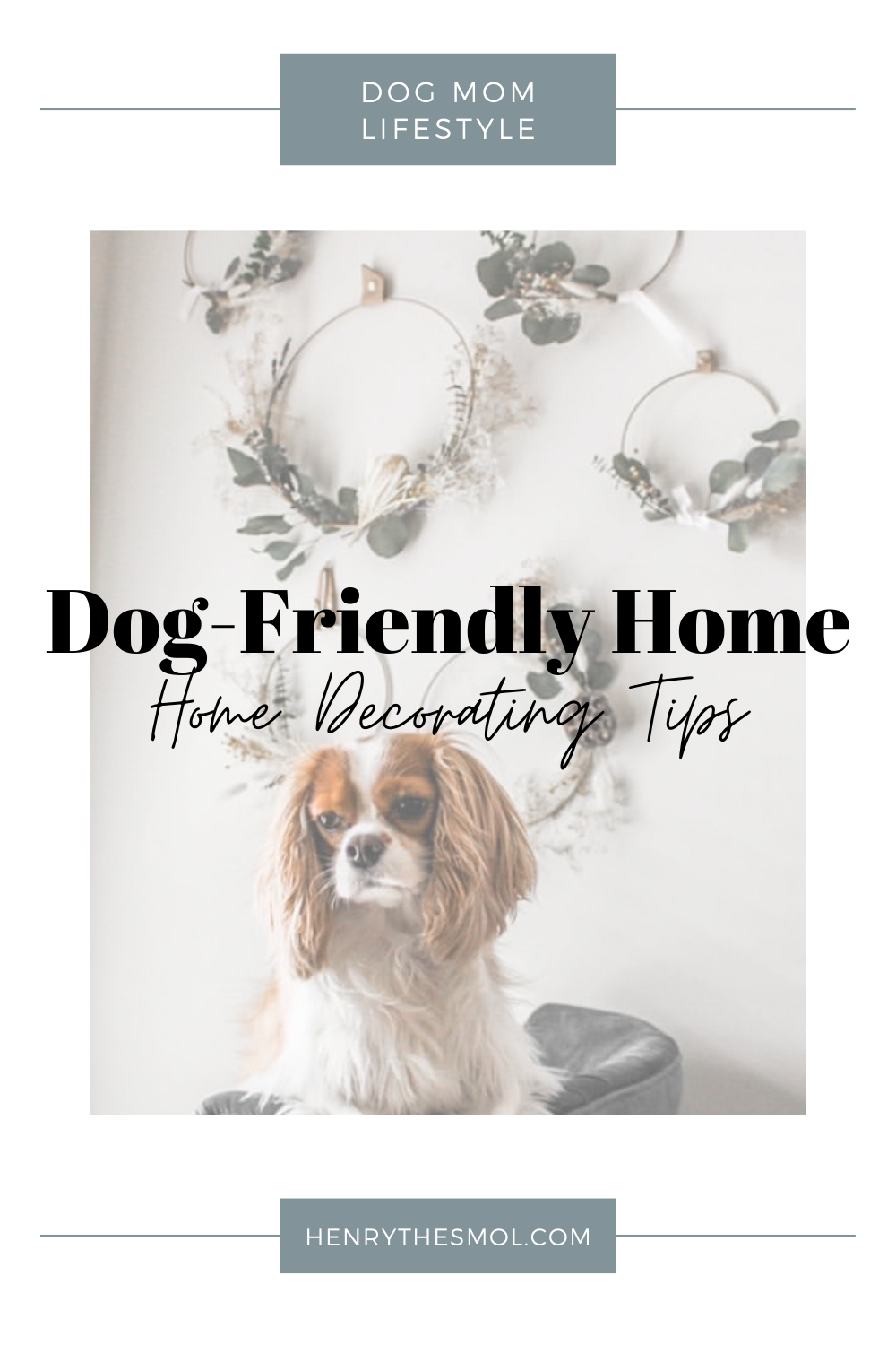 Dog Mom Talk: Dog-Friendly Home Decor Tips