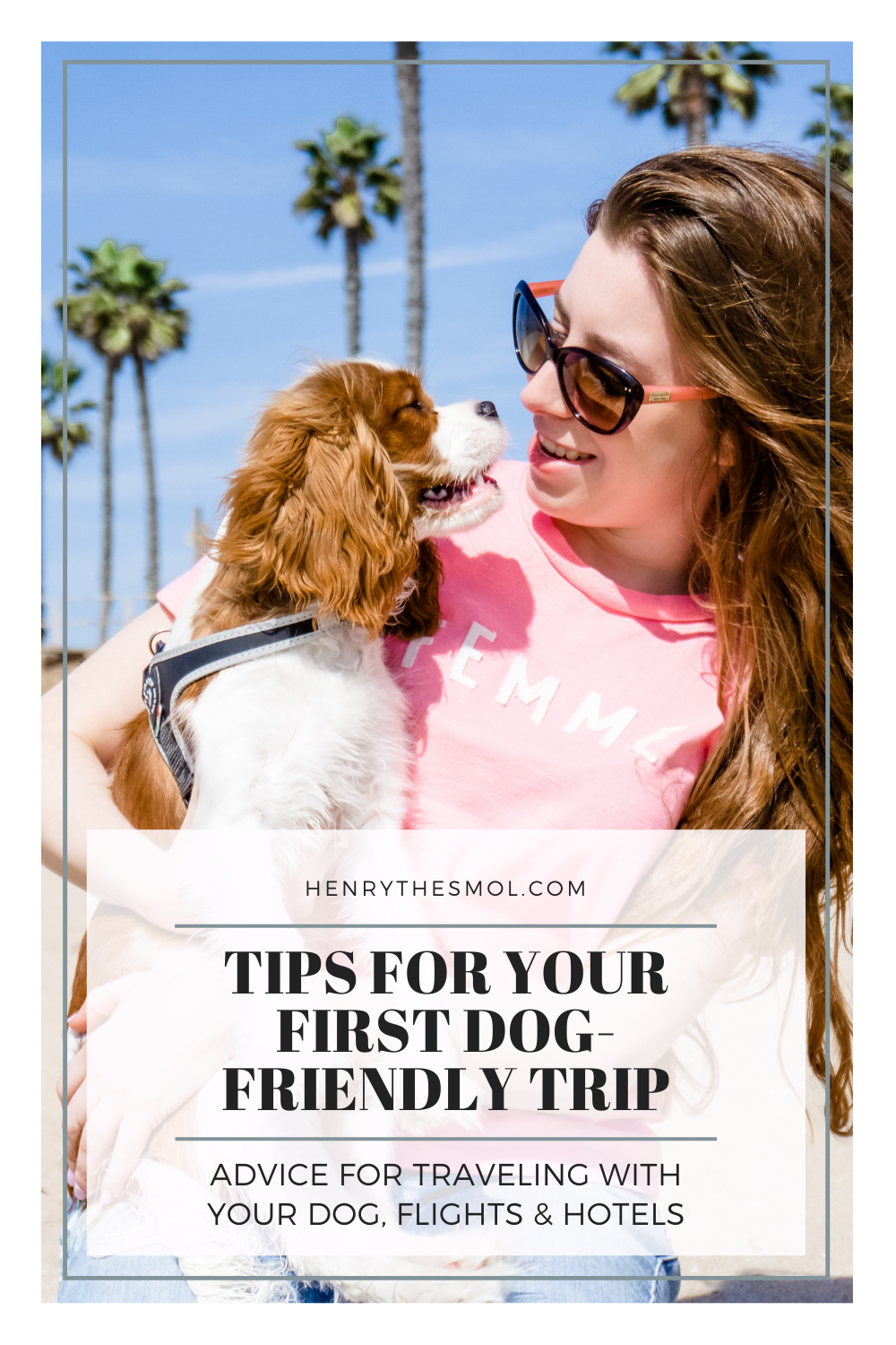 Tips for Traveling With Your Dog For The First Time