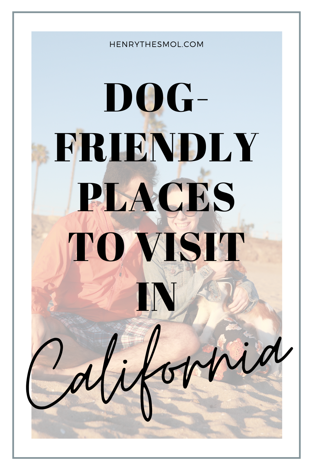 Dog-Friendly California: Orange County & Los Angeles