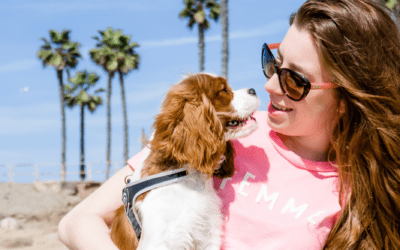 Tips for Traveling With Your Dog For The First Time