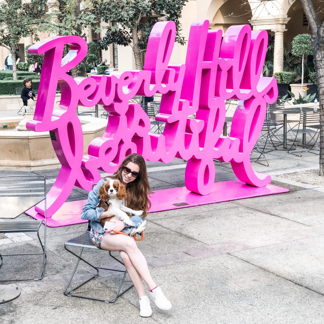 DogFriendly California Orange County & Los Angeles Henry The Smol