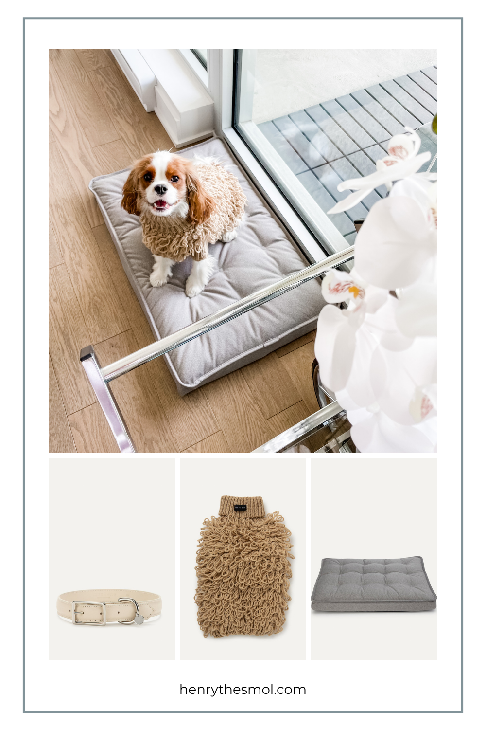 Spring Must-Haves For Stylish Dogs & Dog Moms