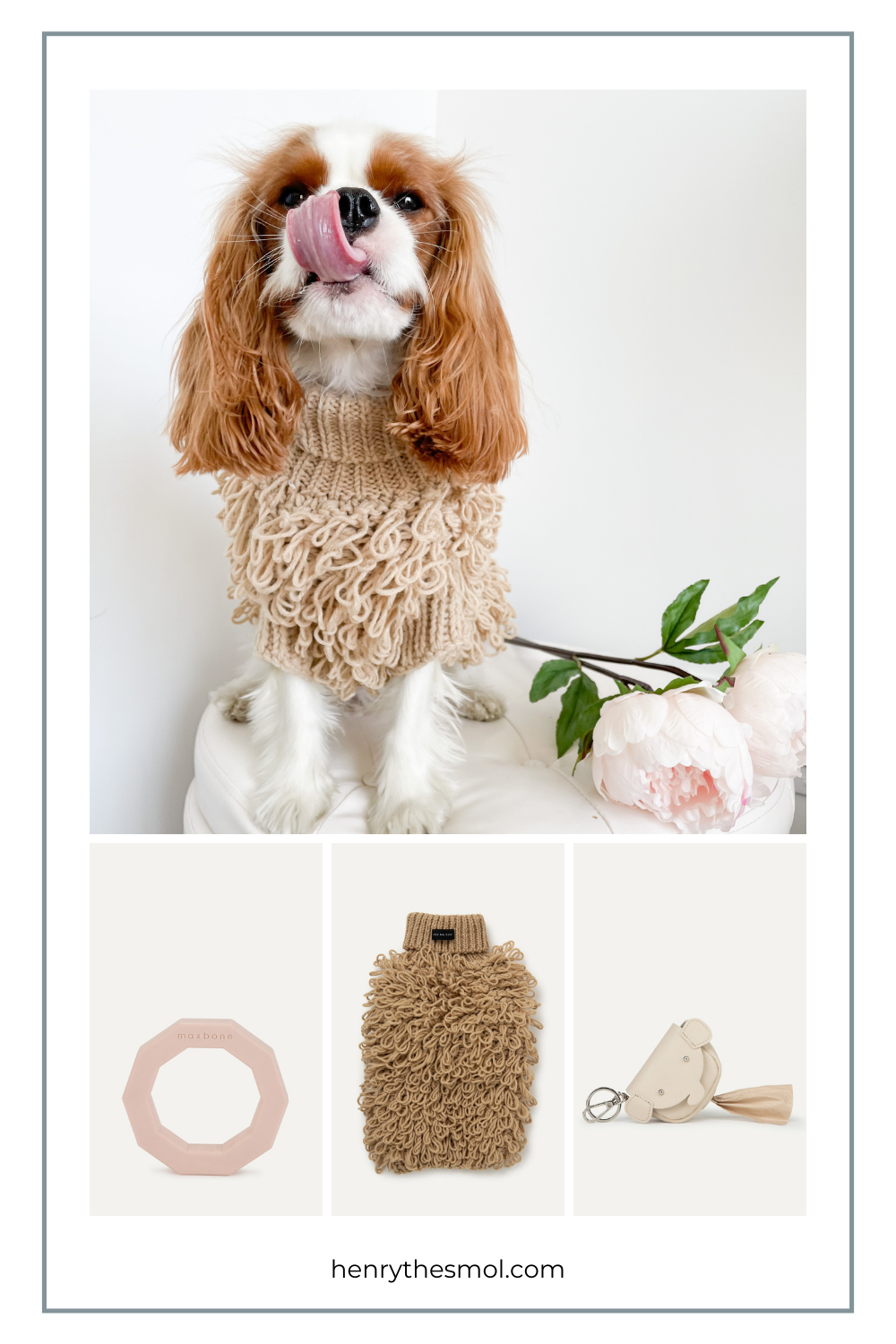 Spring Must-Haves For Stylish Dogs & Dog Moms