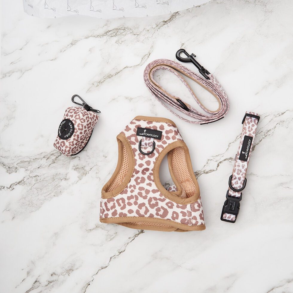 TravelInspired Dog Accessories To Satisfy Your Wanderlust Henry The Smol