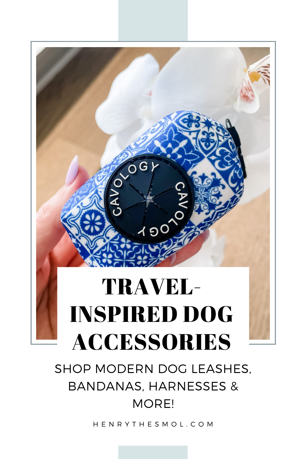 Travel-Inspired Dog Accessories To Satisfy Your Wanderlust