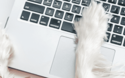 5 Time-Saving Social Media Tools Dog Momagers Need