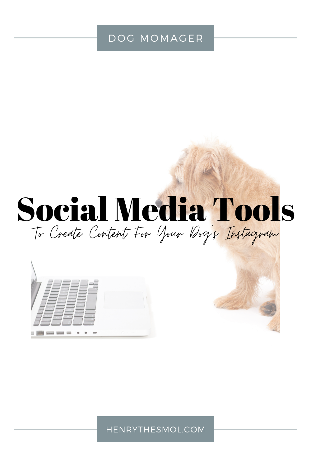 5 Time-Saving Social Media Tools Dog Momagers Need