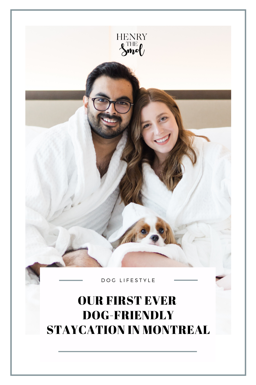 Our Dog-Friendly Staycation At The Four Seasons Hotel