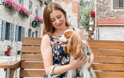 Dog-Friendly Quebec City: Our Dog’s First Road Trip