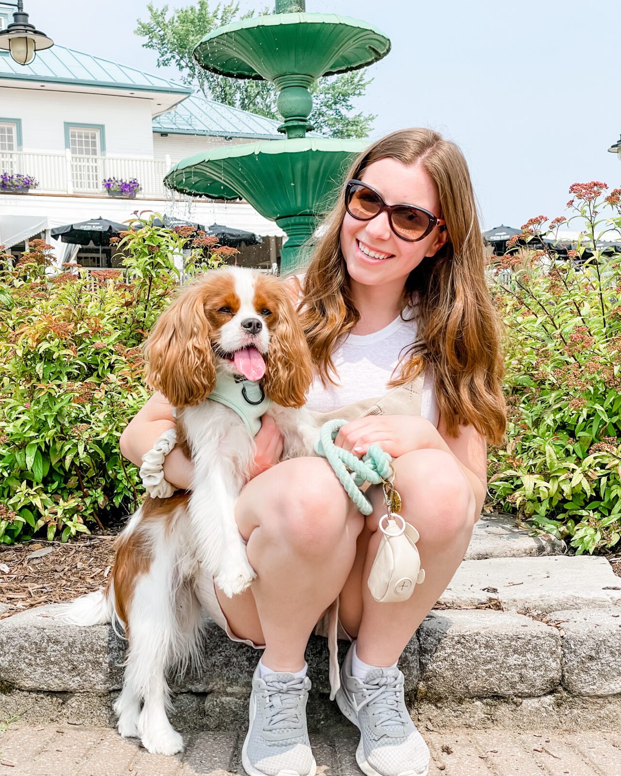 Dog-Friendly Quebec City: Our Dog's First Road Trip - Henry The Smol